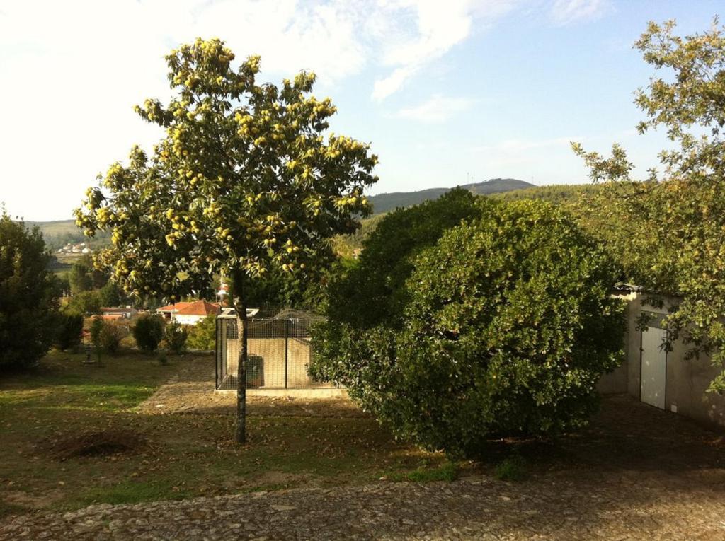 Casa Boavista Villa Paredes de Coura Dış mekan fotoğraf